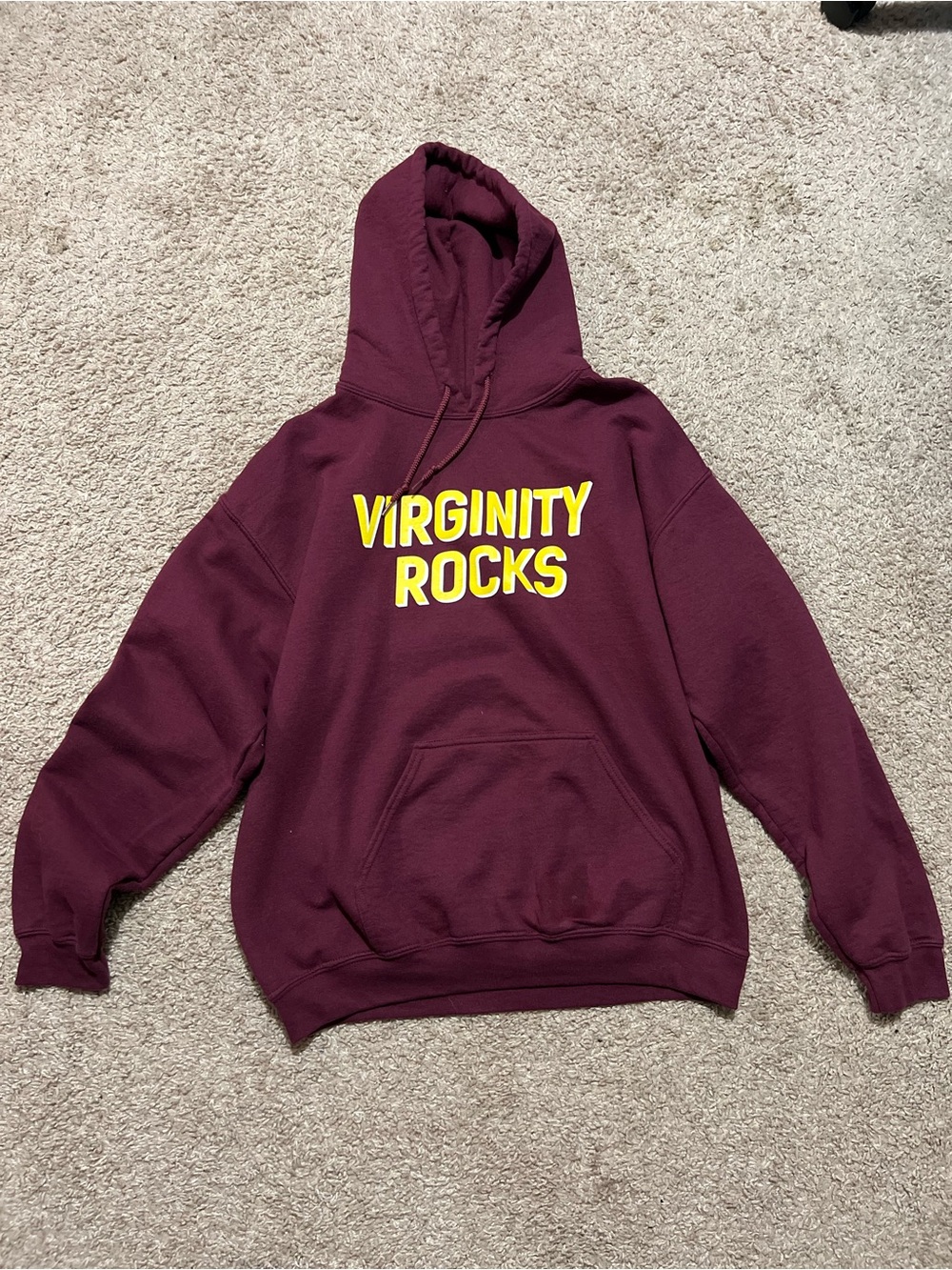 Authentic Danny Duncan Graphic Hooded Sweatshirt 'VIRGINITY ROCKS' Logo